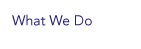 What We Do